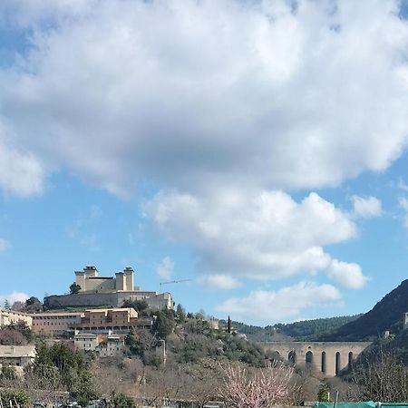 Appartamento Di Via Refini 斯波莱托 外观 照片